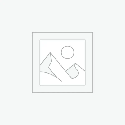 7-1/4-Inch Circular Saw